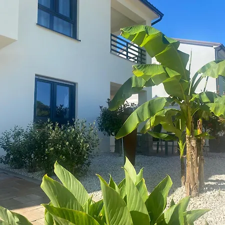 Casa Connie * Valbandon